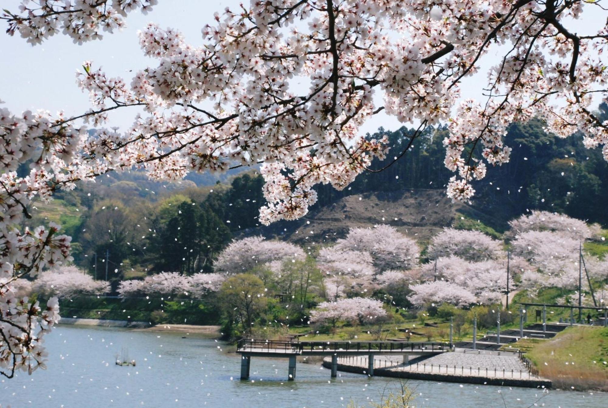 鋸南町 サンセットブリーズ　保田 Bed & Breakfast エクステリア 写真